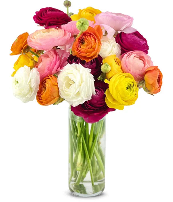 Rainbow Ranunculus Bouquet