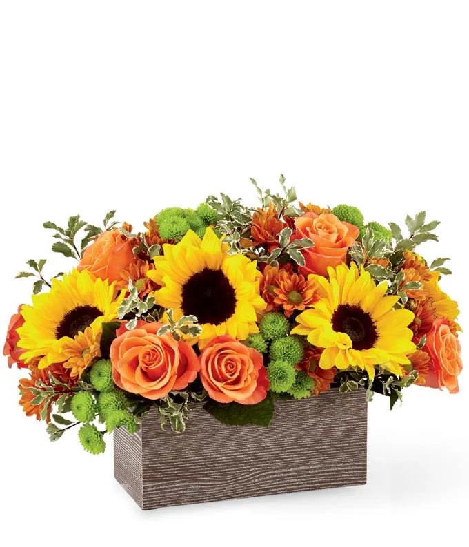 Butterscotch WIth Sunlit Glow Flowers