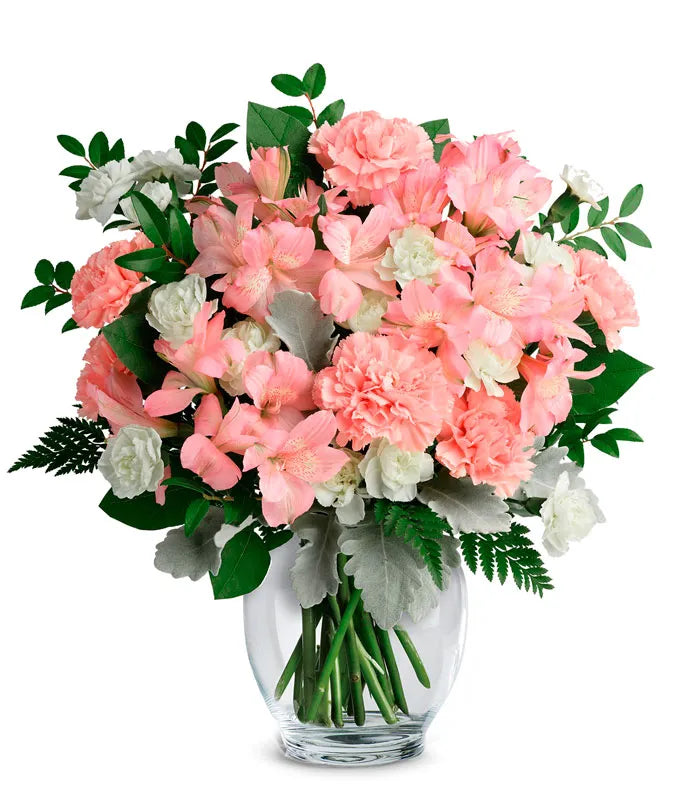 Shell-Pink Recovery Blossoms