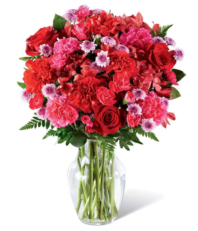 Corals Of Commitment