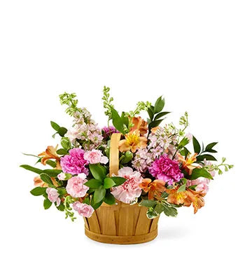Soft Coral Delight