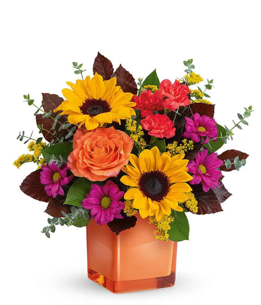 A Warm Healing Gesture