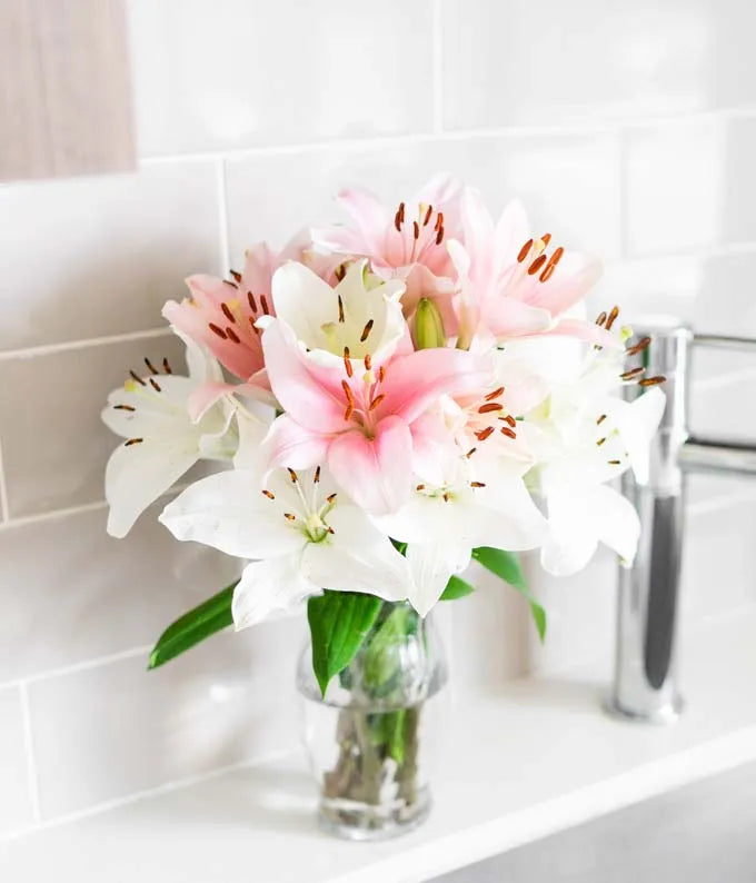 Stunning Pink and White Lilies