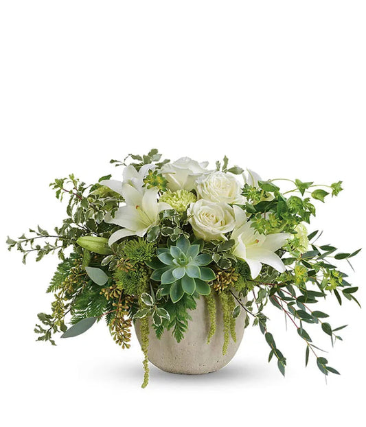 Lasting Grace Of White Roses