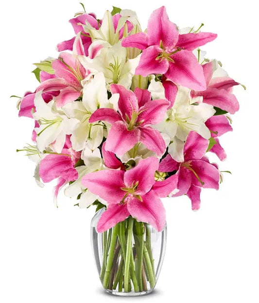 Stunning Pink and White Lilies