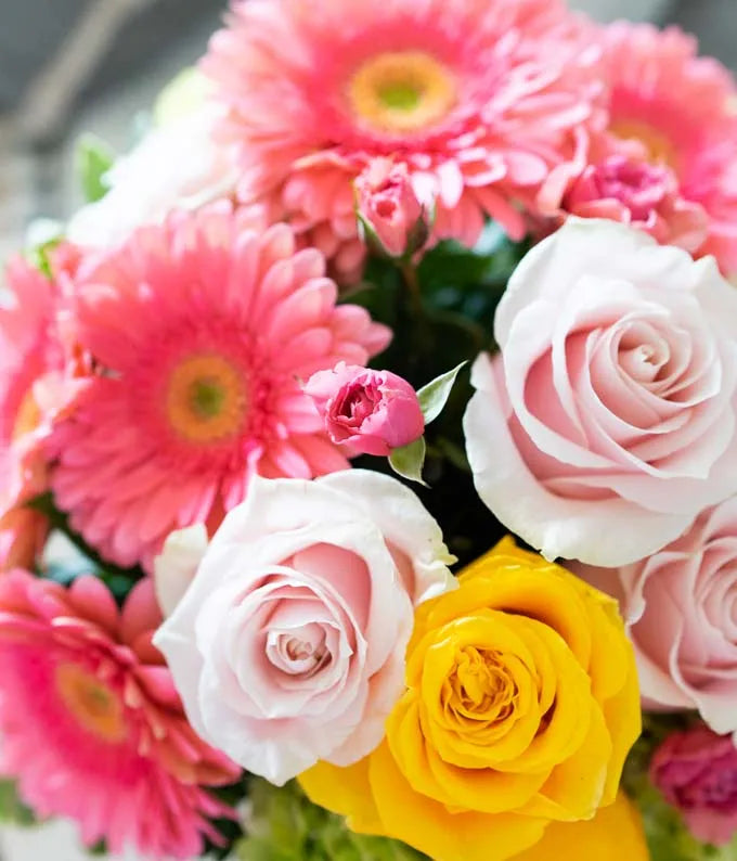 Bright Beautiful Stems 