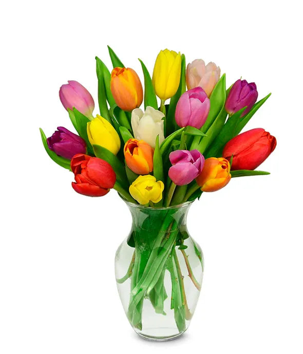 Rainbow Tulip Bouquet 