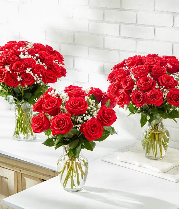 Long Stemmed Red Roses Bouquet 