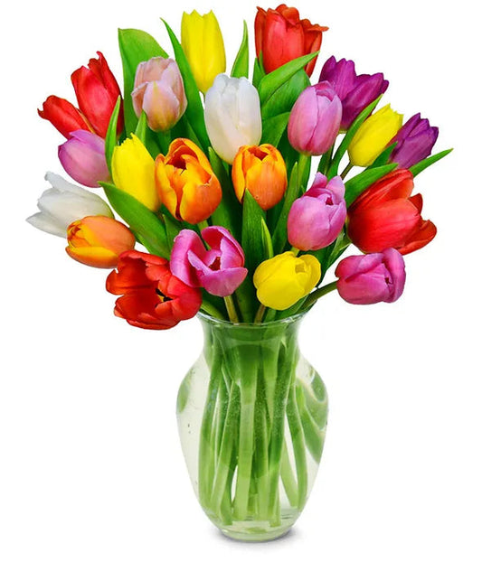 Rainbow Tulip Bouquet 