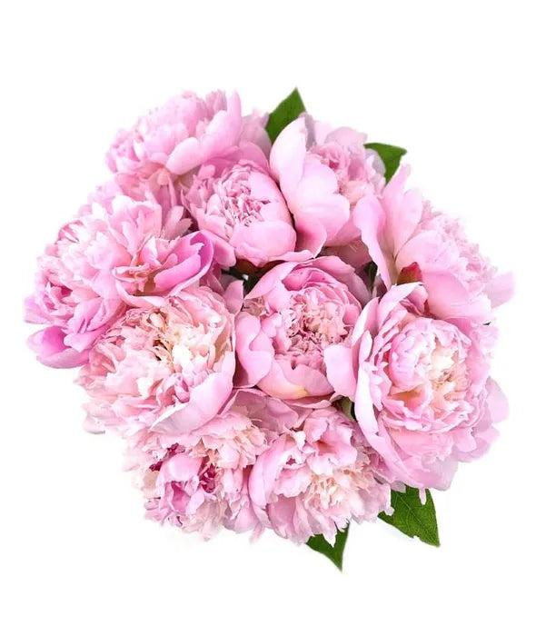 Pretty Pink Peonies Bouquet 
