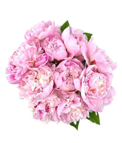 Pretty Pink Peonies Bouquet 
