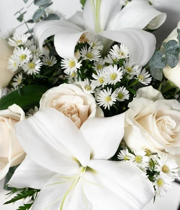 With All Our Sympathy Lily Arrangement 