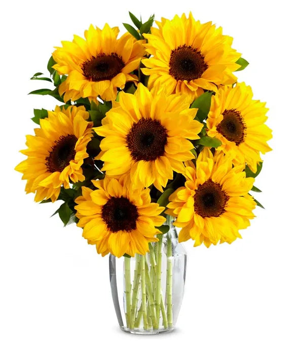 Stunning Sunflowers Bouquet 