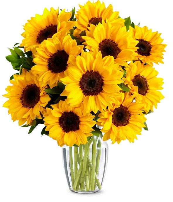 Stunning Sunflowers Bouquet 