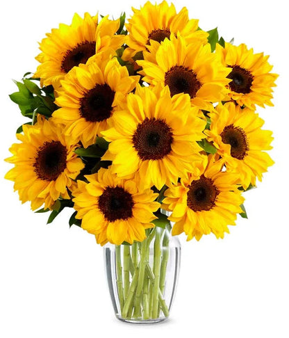 Stunning Sunflowers Bouquet 