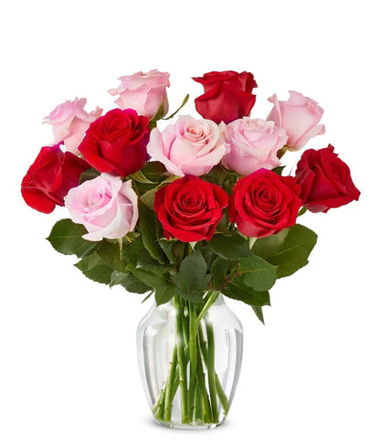 One Dozen Red and Pink Roses 