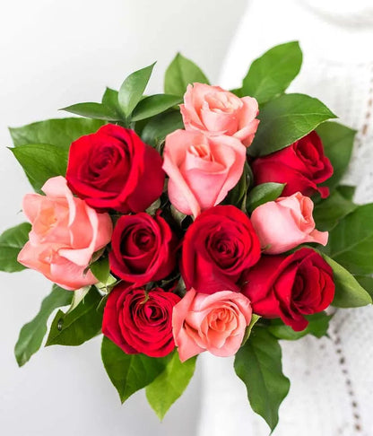 One Dozen Red and Pink Roses 