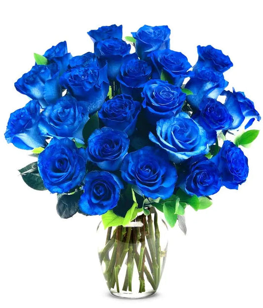 One Dozen Blue Roses 