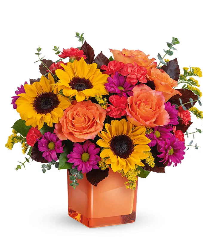 A Warm Healing Gesture 