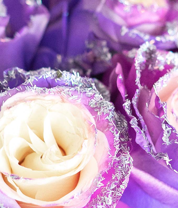 Purple Pastel Glitter Roses 