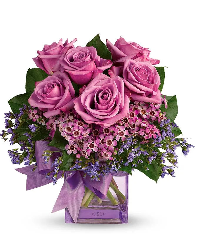 Purple Morning Melody 