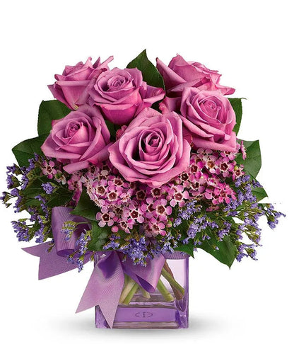 Purple Morning Melody 