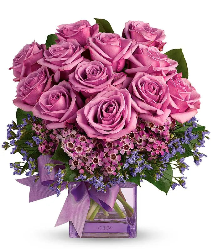 Purple Morning Melody 