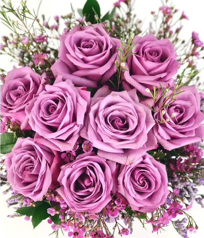 Purple Morning Melody 