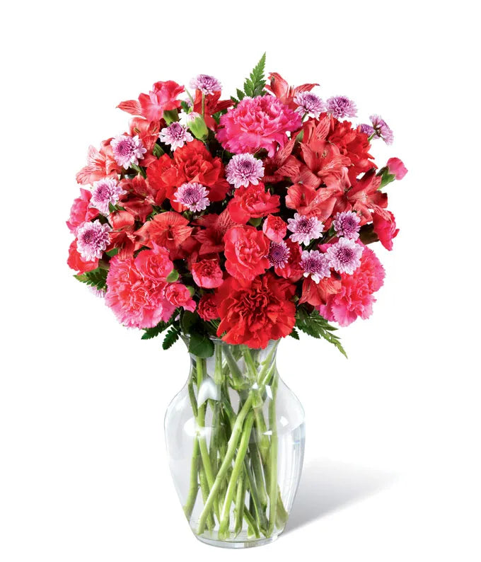 Corals Of Commitment 