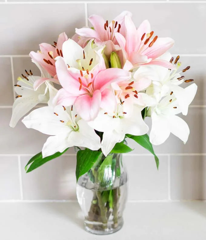 Stunning Pink and White Lilies 