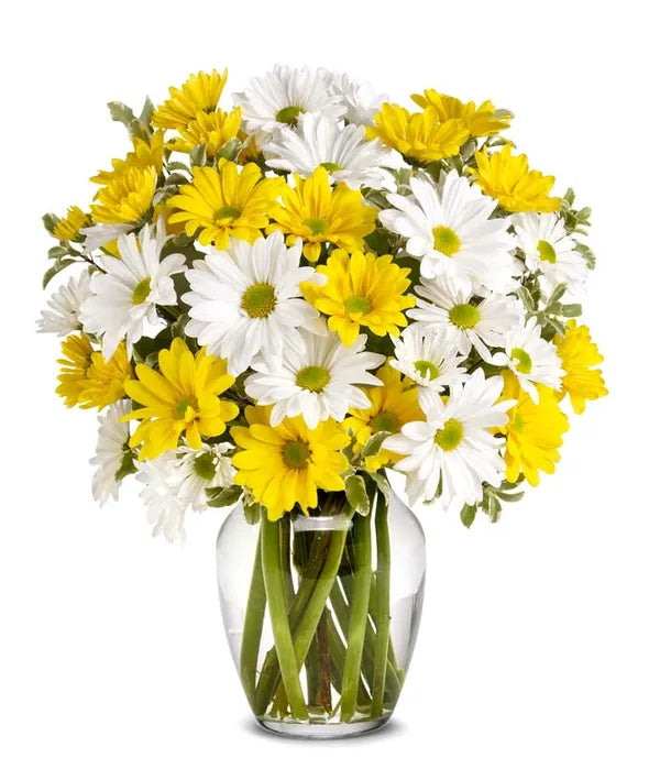 Upsy Daisy Bouquet 