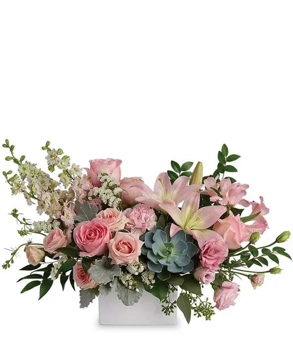 Modern Romance Succulent Arrangement 