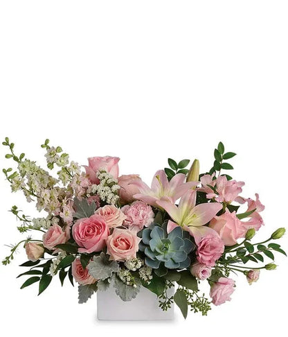 Modern Romance Succulent Arrangement 