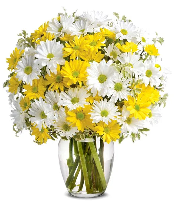 Upsy Daisy Bouquet 