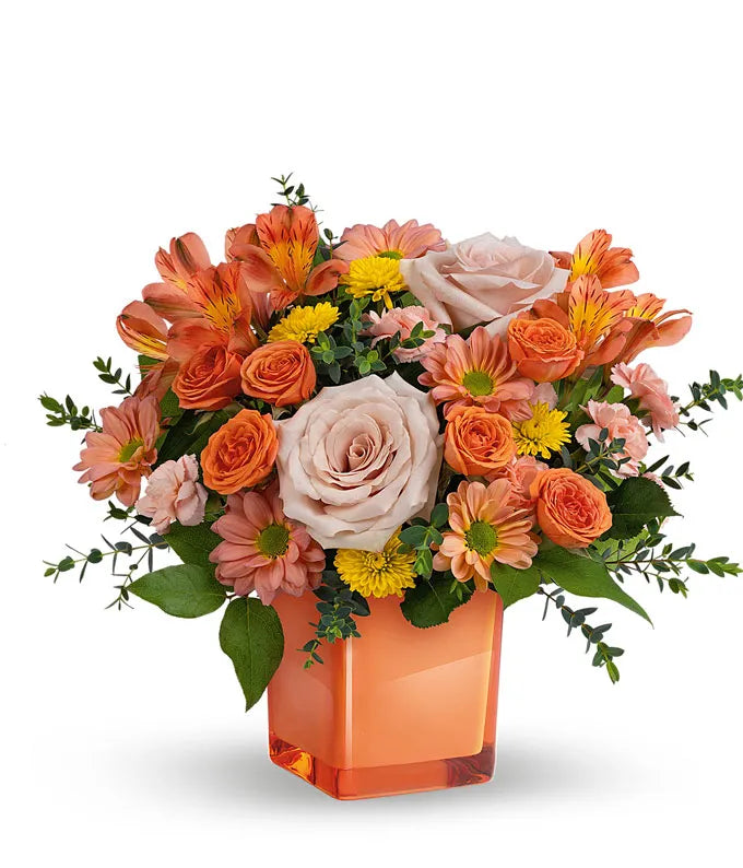 Pretty in Coral 