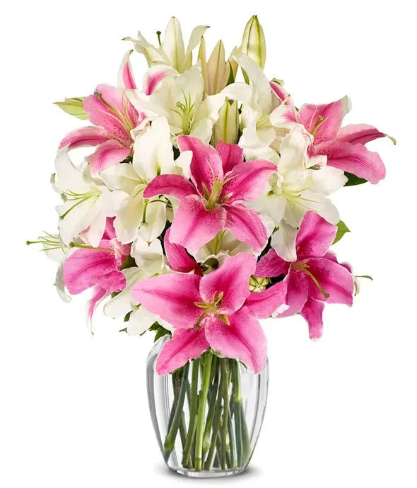 Stunning Pink and White Lilies 