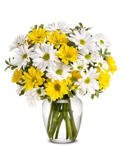 Upsy Daisy Bouquet 