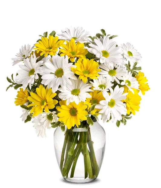 Upsy Daisy Bouquet 